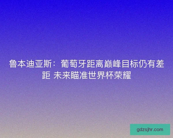 鲁本迪亚斯：葡萄牙距离巅峰目标仍有差距 未来瞄准世界杯荣耀