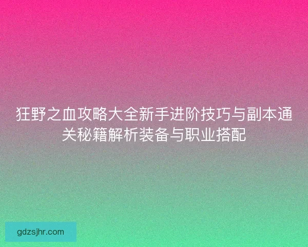 狂野之血攻略大全新手进阶技巧与副本通关秘籍解析装备与职业搭配